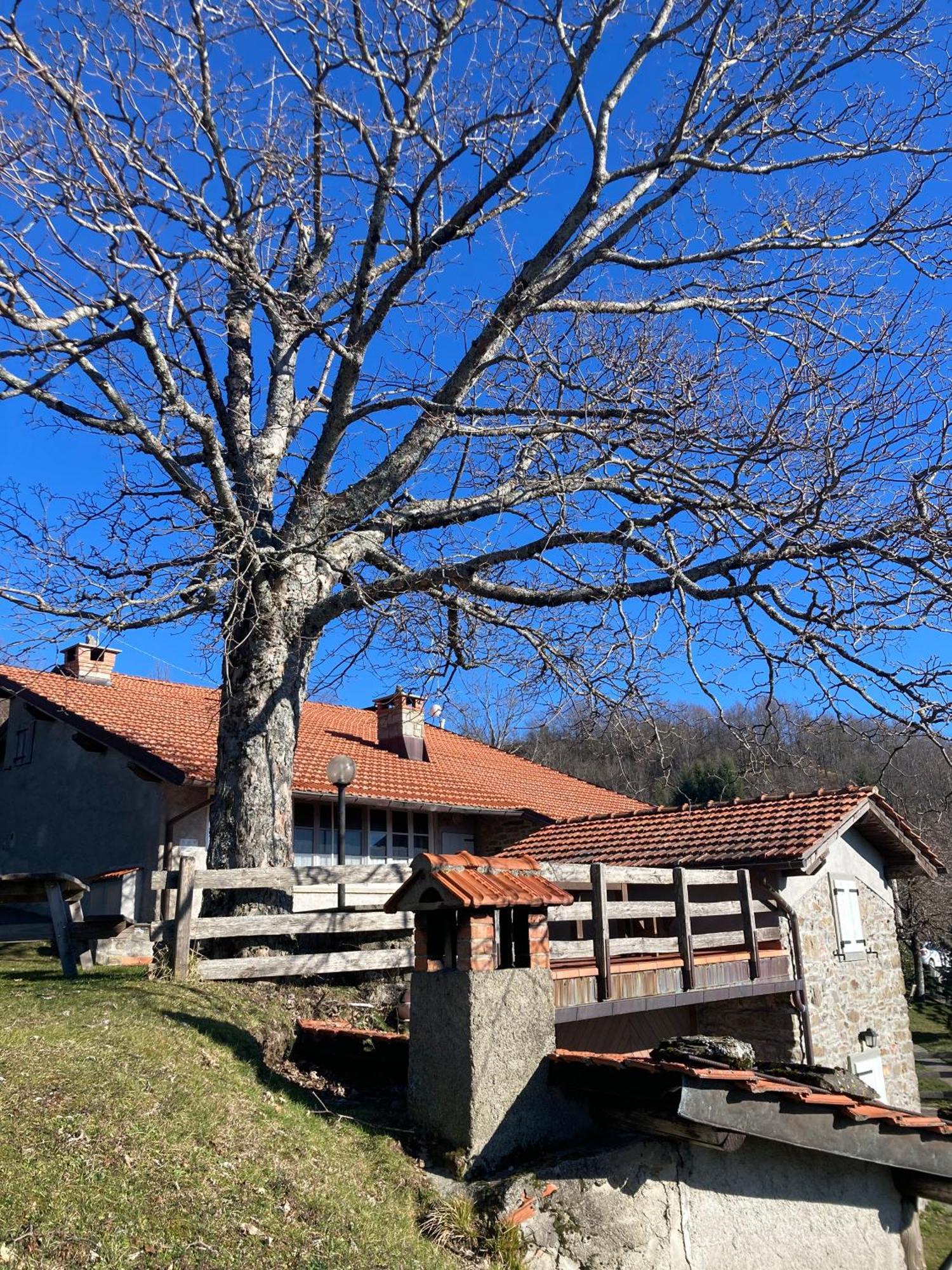 Agriturismo Sperandini San Marcello Pistoiese Exterior foto